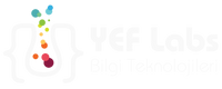 YEF Labs Bilgi Teknolojileri